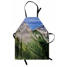 High Mountains and Forest Apron