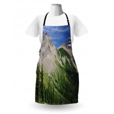 High Mountains and Forest Apron