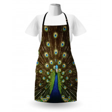 Peacock with Feathers Apron
