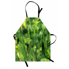 Photo of Tropic Botany Apron