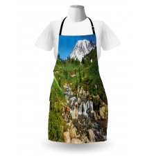 Edith Creek Mount Rainier Apron