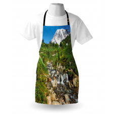 Edith Creek Mount Rainier Apron