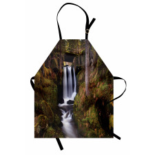 Wooden Bridge Forest Apron