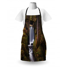 Wooden Bridge Forest Apron