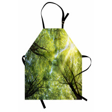 Romantic Beech Trees Apron