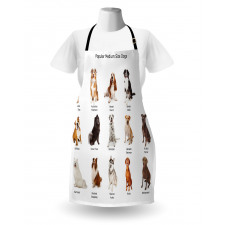 Puppy Breeds Family Apron