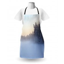 Frozen Lake in Woods Apron