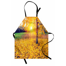 Evening Natural Park Apron