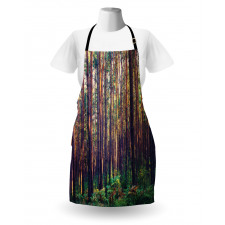 Fall Trees Forest Trunks Apron