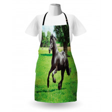 Friesian Horse Apron