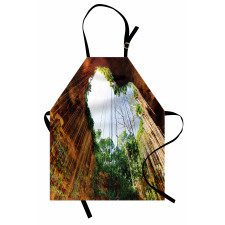 Bottom View of Cenote Heart Apron