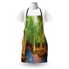 Roots of Mangrove Trees Apron