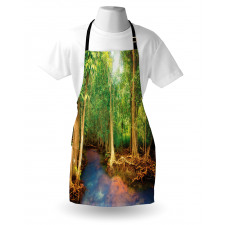 Roots of Mangrove Trees Apron