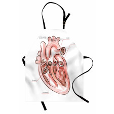 Eğitici Mutfak Önlüğü İnfografi Kapakçıkları Gösteren Kalp Çizimi