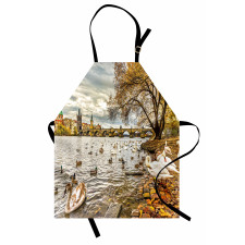 Swimming Swans in River Apron