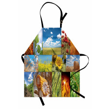 Sunflower Corn Wheat Apron