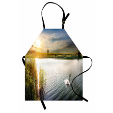 Swan in River at Dawn Photo Apron