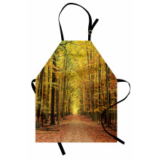 Pathway into the Forest Apron