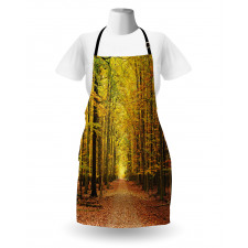 Pathway into the Forest Apron