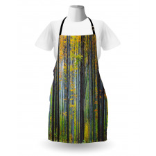 Autumn Season Beech Forest Apron