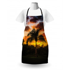 Exotic Tree at Sunset Apron