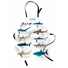 Cartoon Shark Types Wild Apron