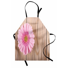 Pink Gerber on Wooden Apron