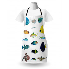 Marine Life Creatures Apron