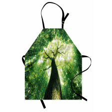 Summer Rays in Wild Apron