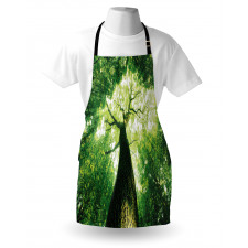 Summer Rays in Wild Apron