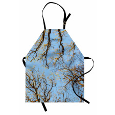 Vibrant Sky with Trees Apron