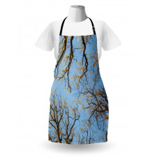 Vibrant Sky with Trees Apron