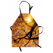 Sun in October Harvest Apron