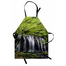 Rock Tree in Waterfall Apron