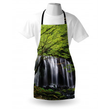 Rock Tree in Waterfall Apron