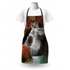 Fall Trees with Rock Apron