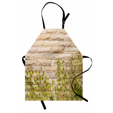 Brick Wall with Leaf Apron