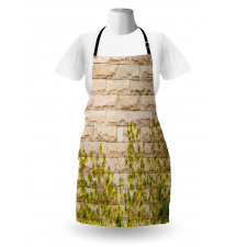 Brick Wall with Leaf Apron