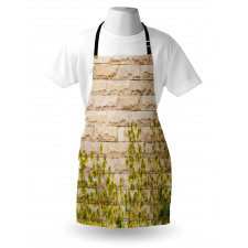 Brick Wall with Leaf Apron