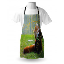 Panda Apron