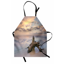 Sunrise on Sandy Beach Apron