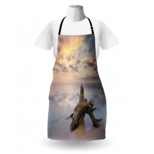 Sunrise on Sandy Beach Apron