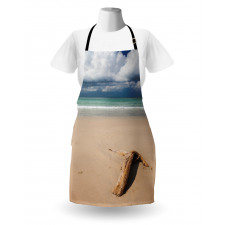 Driftwood on the Beach Apron