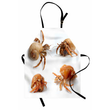 Hayvan Deseni Mutfak Önlüğü Deniz Böcekleri