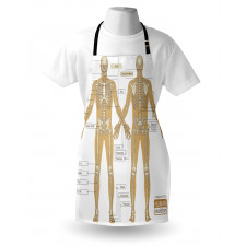 Human Skeleton System Apron