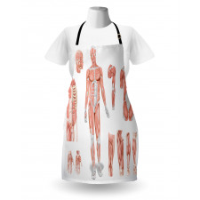 Biology Human Medical Apron