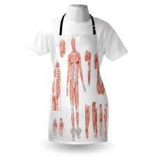 Biology Human Medical Apron