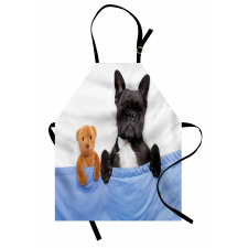 French Bulldog with Bear Apron