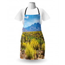 Landscape of Desert Apron