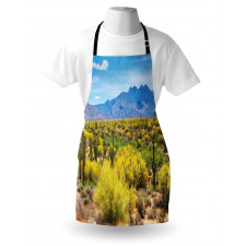 Landscape of Desert Apron